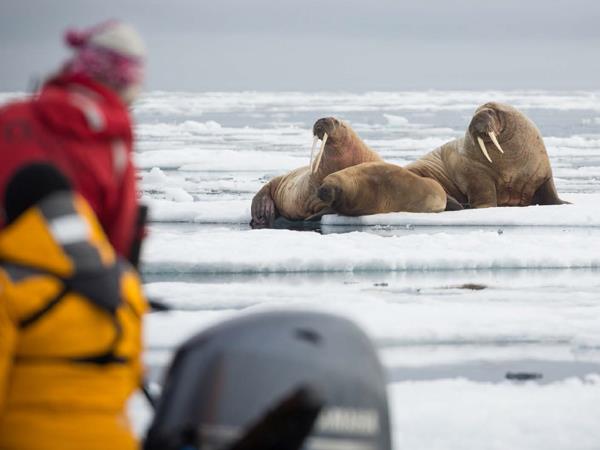 Russian Arctic cruises to Franz Josef Land