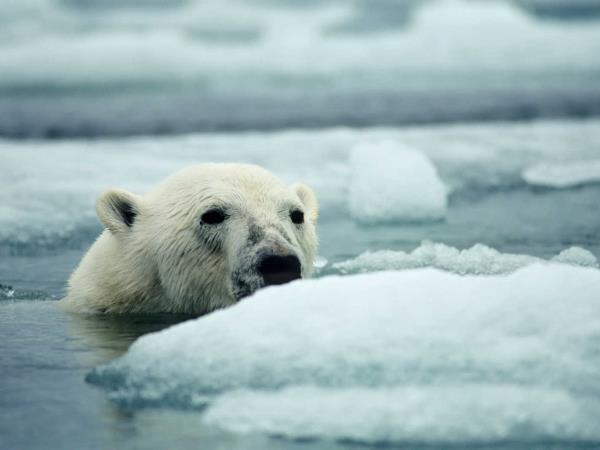 Northwest Passage cruise in the High Arctic