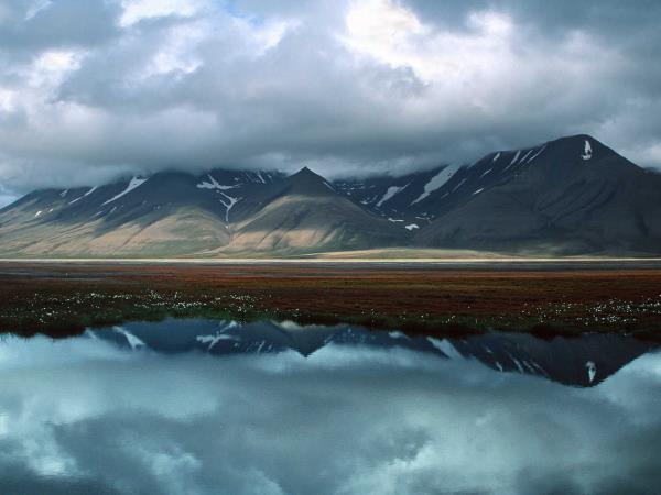 Spitsbergen wildlife cruise