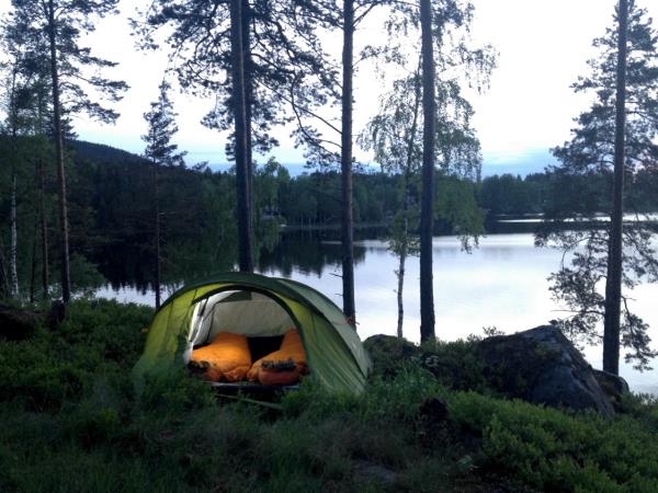 Sweden rewilding and yoga vacation