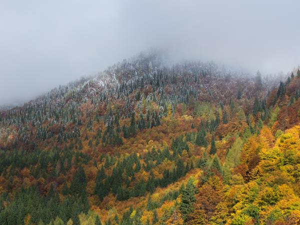 Slovenia photography vacation