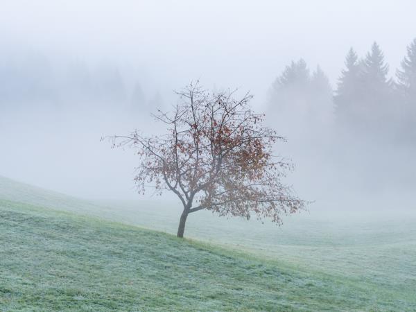 Slovenia photography vacation