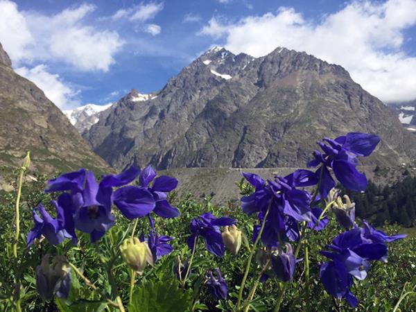 Mont Blanc walking vacations