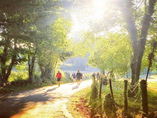 Walk the Camino, Sarria to Santiago