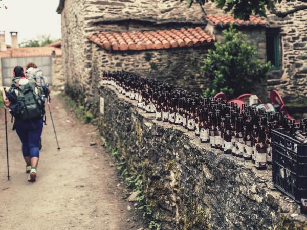 Walk the Camino, Sarria to Santiago