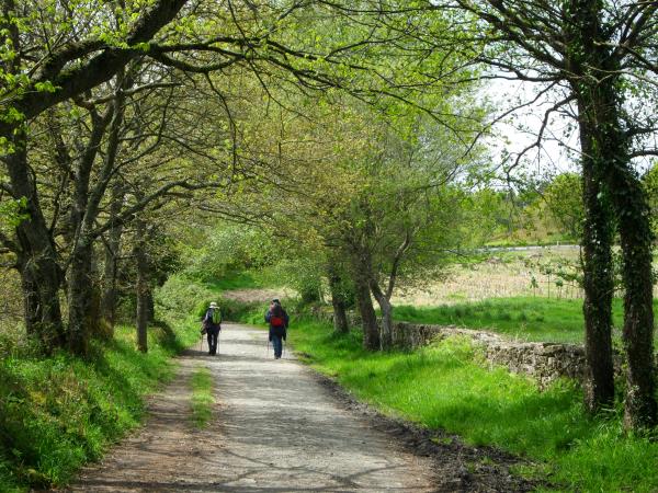 Walk the Camino, Sarria to Santiago