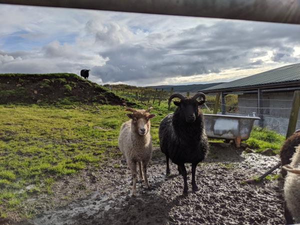 Isle of Skye textile vacation