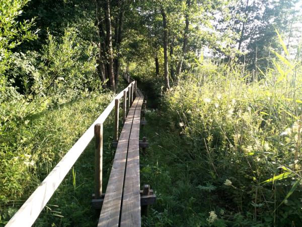 Cycling vacation in the Finnish Archipelago