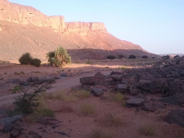 Painters retreat in Moroccan desert