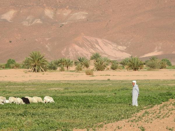 Painters retreat in Moroccan desert