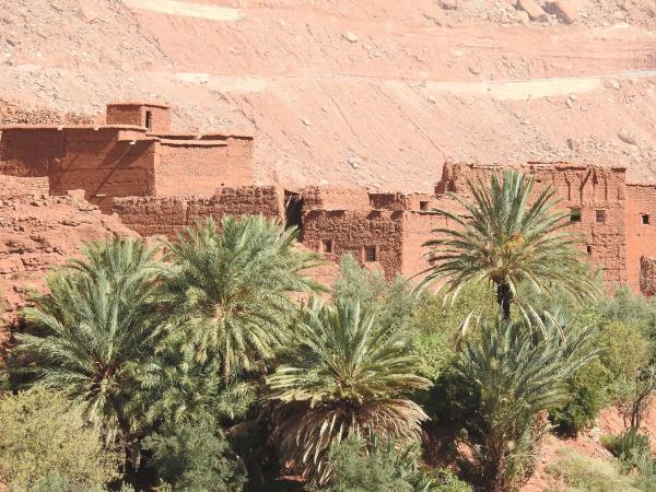 Painters retreat in Moroccan desert