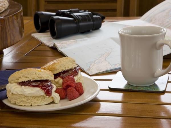 Argyll 4 day Spring cruise, Scotland