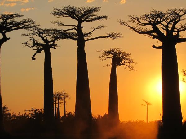 Landscapes of Madagascar vacation