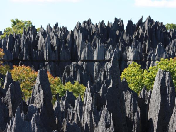 Landscapes of Madagascar vacation