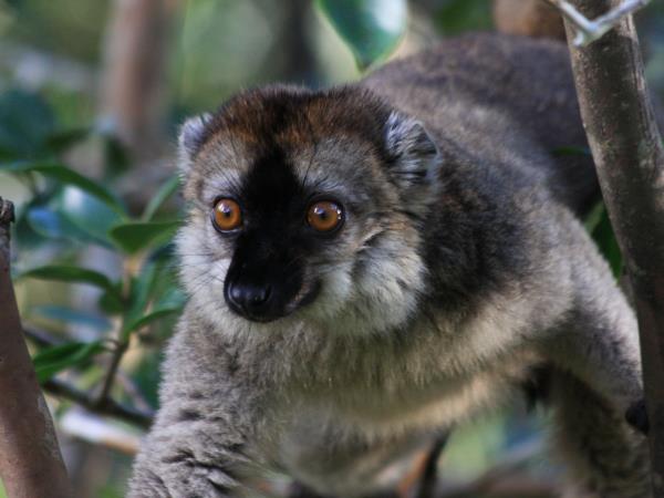 Landscapes of Madagascar vacation