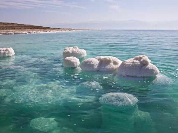 Jordan desert and history tour