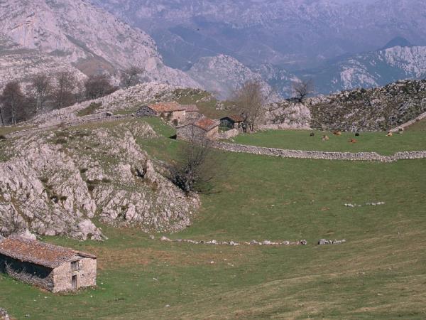 Picos de Europa walking vacation, Spain