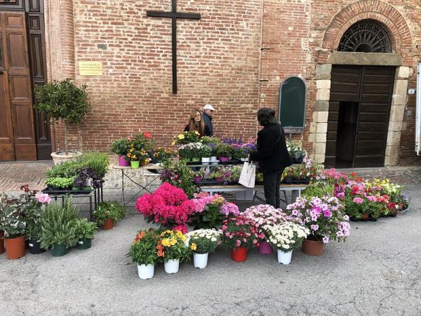 Tuscany villa vacation, 10 days