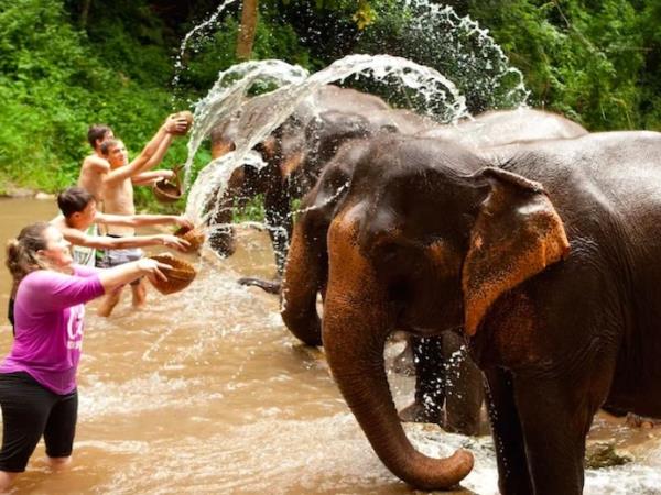 Lantern festival tour in Thailand