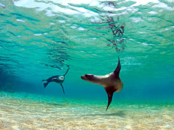 Galapagos tailor made vacation