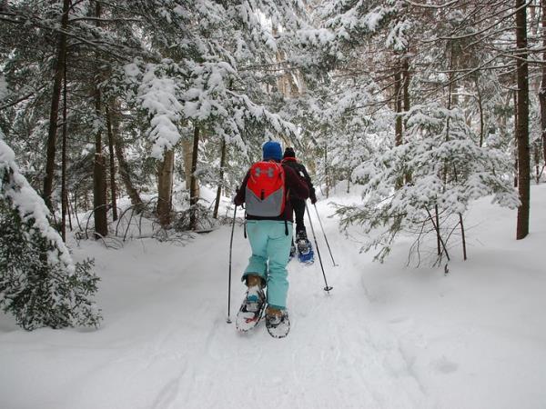 Winter retreat weekend in Algonquin Park, Canada