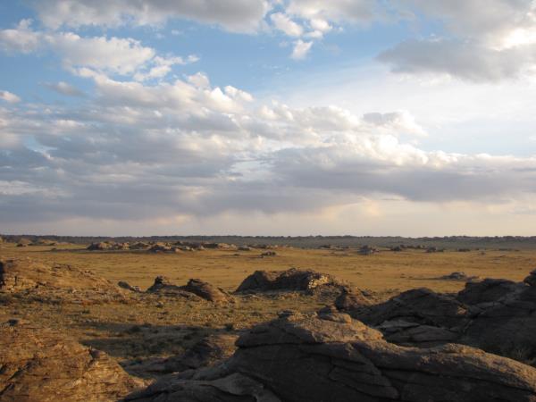 Wildlife conservation & research expedition in the Gobi Desert, Mongolia