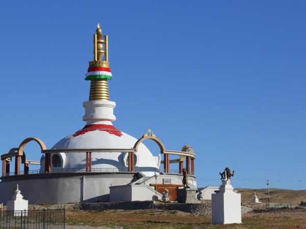 Wildlife conservation & research expedition in the Gobi Desert, Mongolia