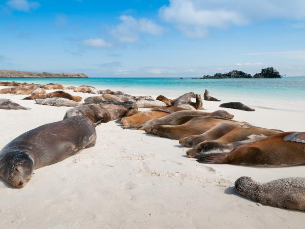 Galapagos 8 day cruise, Ecuador