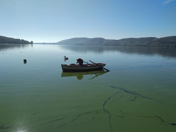 Northern Greece bear conservation tour