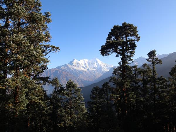 Langtang Valley short trek in Nepal