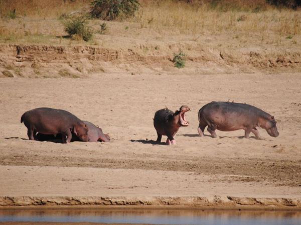 Zambia small group tour