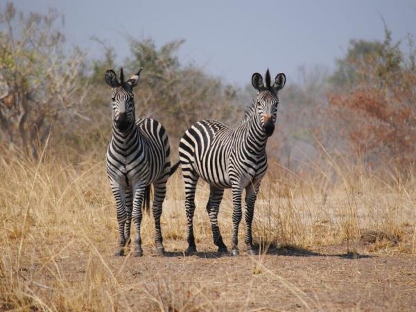 Zambia small group tour