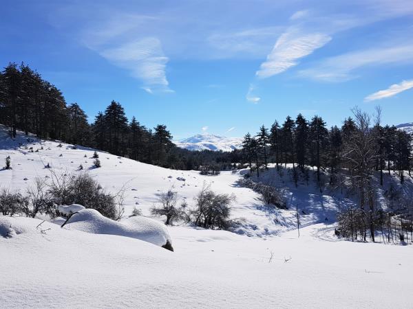 Snowshoeing in Albania vacation