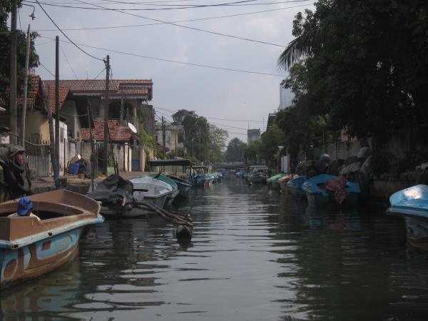 A taste of Sri Lanka tour, 9 days