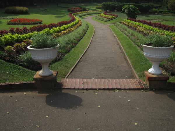 A taste of Sri Lanka tour, 9 days
