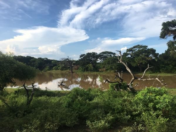 A taste of Sri Lanka tour, 9 days