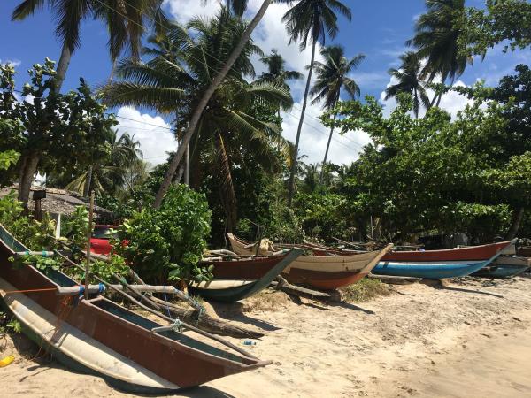 A taste of Sri Lanka tour, 9 days