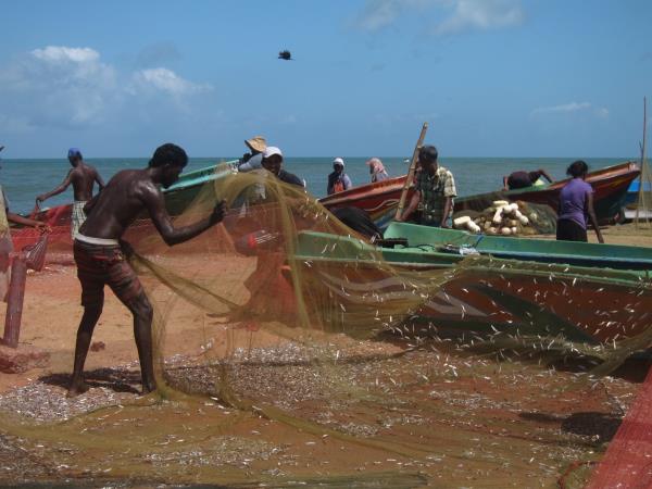 Sri Lanka food tour, tailor made
