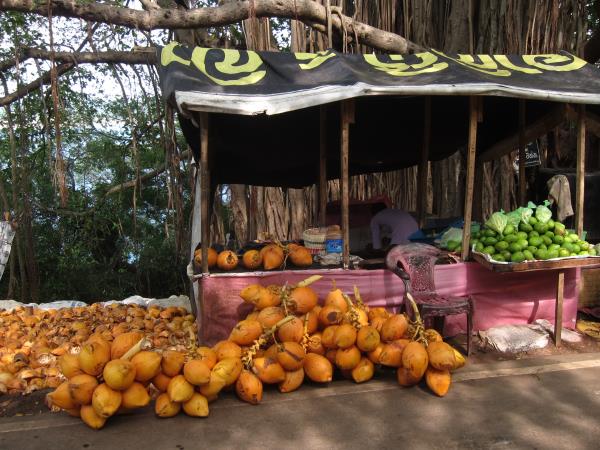 Sri Lanka food tour, tailor made