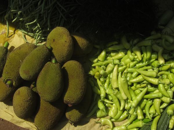 Sri Lanka food tour, tailor made