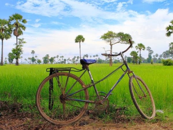 Laos and Cambodia tailor made tour