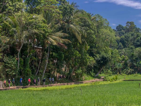 Sri Lanka tours, beyond the tourist trail