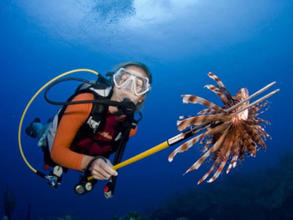 Lionfish spearing marine conservation in Belize