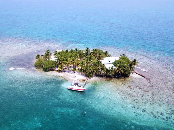 Coral reef conservation in Belize