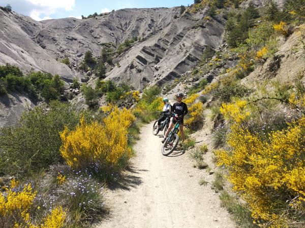 Alps to Provence ebike vacation, France