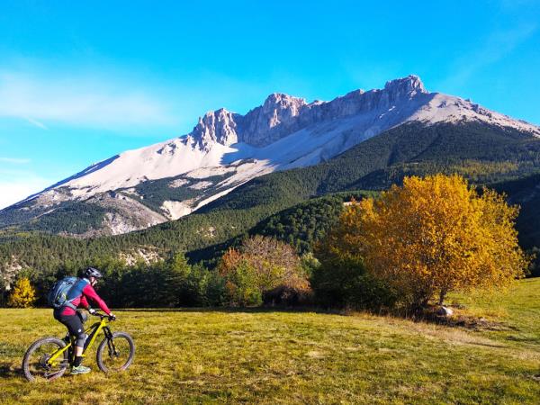 Alps to Provence ebike vacation, France