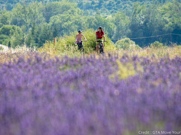 Alps to Provence ebike vacation, France