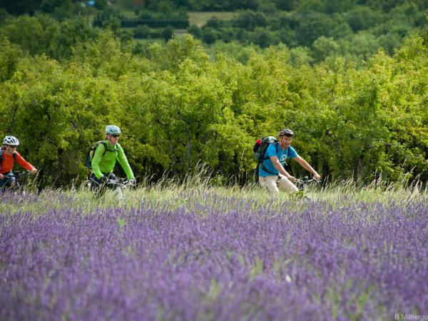 Alps to Provence ebike vacation, France