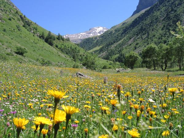 Gourmet alpine walking vacation, France