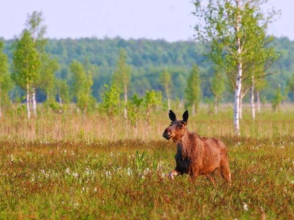 Poland adventure vacation